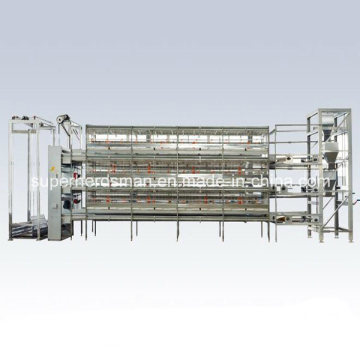 Automatic Chicken Cage Breeding Equipment