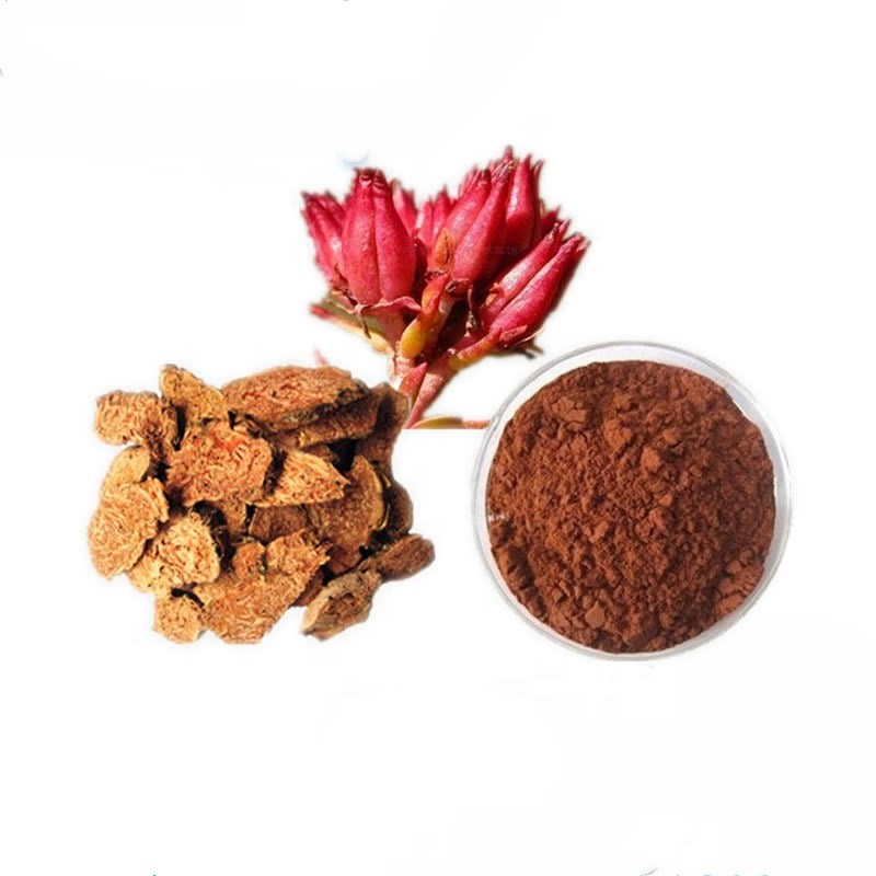 Rhodiola rosea root extract