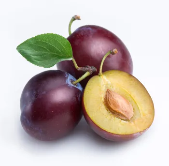 fresh plums