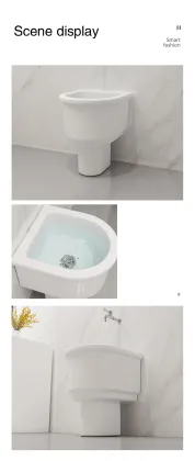 The introduction of the mop sink
