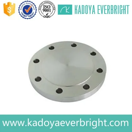 Best price customize stainless steel boss flange