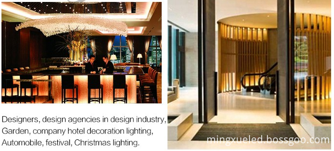 SMD335 Led Strip Light SMD335 Led Strip Light