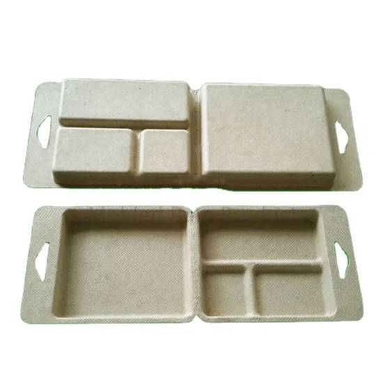 Sustainable bamboo pulp molded pack paper pulp box