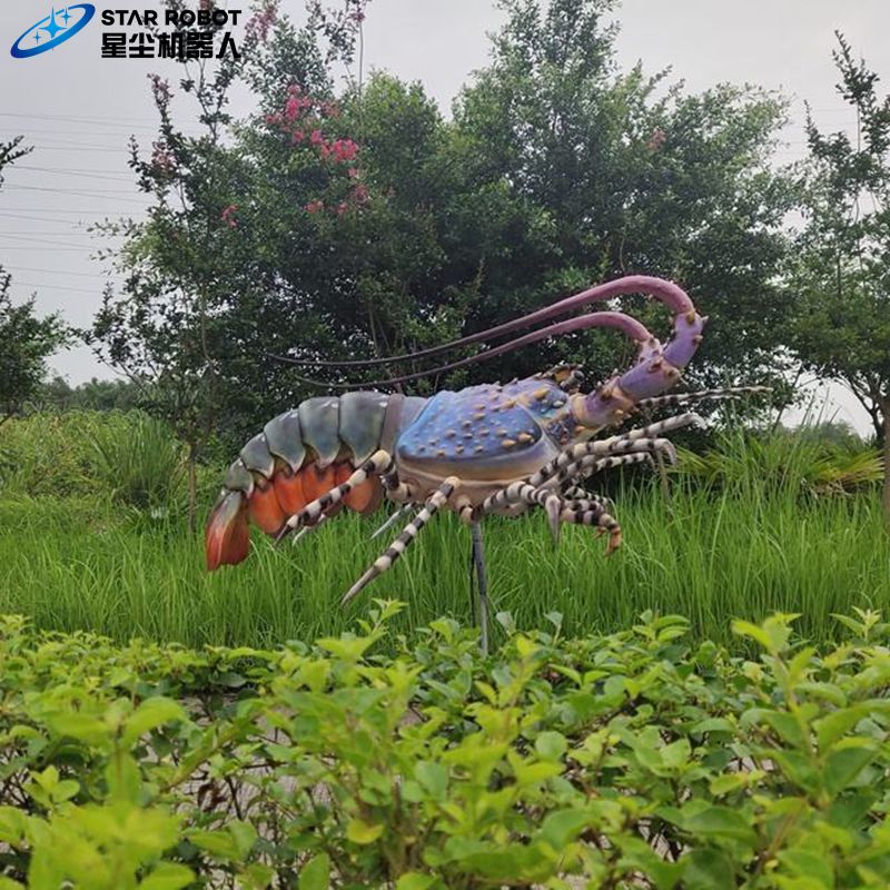 Animal Shrimp