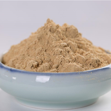 Ginger Powder Foods integrais