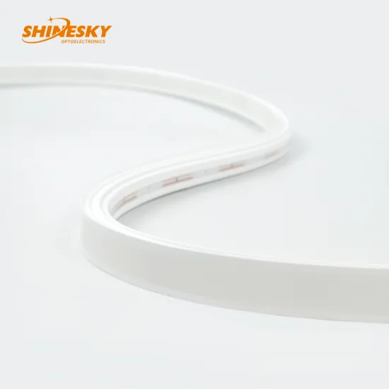 IP44 Waterproof DC24V RGB/RGBW Recessed Silicone Neon Strip for Indoor Installation