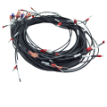 Wiring Harness for Power Exchange Cabinet