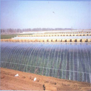 UV Treated Greenhouse Cover Film