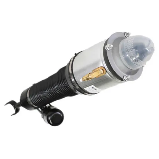 Pneumatic Air-Ride Suspension Shocks and Struts Assembly for Rear Shock Absorber - Manufacturers 3W0616039C 3W0616039D