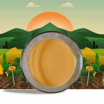 Organic Nitrogen Fertilizer CSL Powder 42%