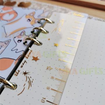High Clear Gold Foil PVC Planner Journal with Ruler and Tabs - 6 Ring Bound