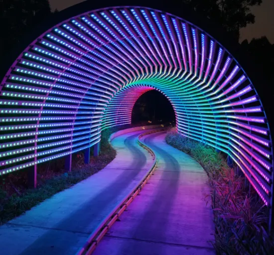 IP68 High Quality 40mm 6LEDs 24V RGB DMX512 LED Pixel Module Light String