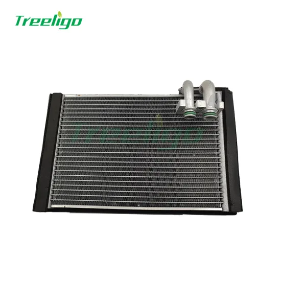 Treeligo AC Evaporator EV 939989PFC 80225TK8A02 E456P for Honda Odyssey 11-15