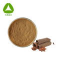 Zimtrindeextrakt 30% Polyphenolpulver