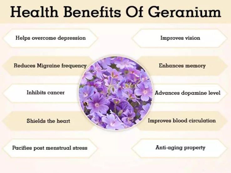 geranium root extract good for