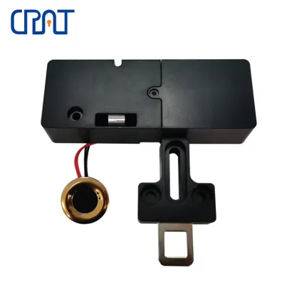 Home Smart Small Fingerprint Recognition Cabinet Lock