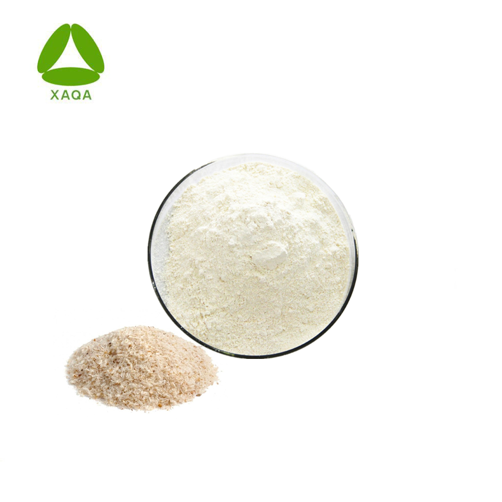 Fibra natural orgânica Psyllium Husk Extrato de semente em pó