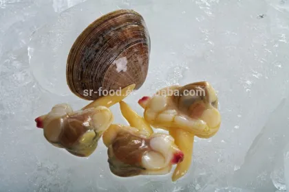 IQF Surrf clam/short necked clam meat