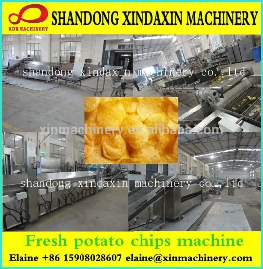 XXD vegetable chips continuous fryer supplier