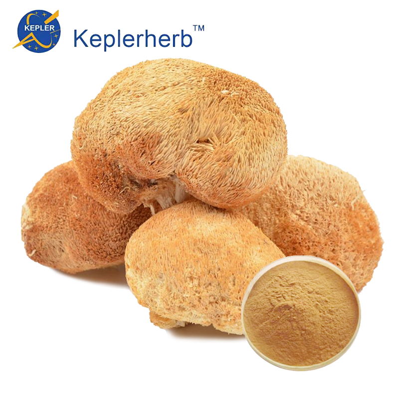 Factory price Hericium Extract