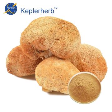 Fabrieksprijs Hericium-extract