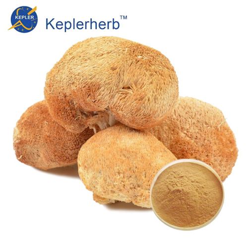 Заводская цена экстракт Hericium