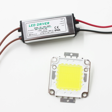 High Power COB LED Lamp Chips Bulb with LED Driver for DIY Floodlight and Spotlight