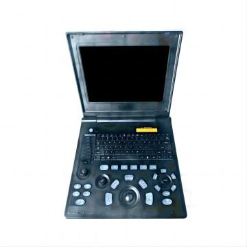 Laptop ultrasound equipment for greyhound stomach diseases