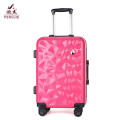 New fashion young traveling luggage