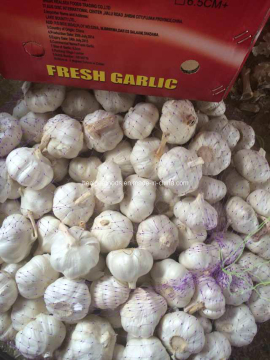 Chinese Original Garlic