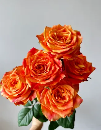 Orange Single-Headed Ode to Joy Rose Arrangement