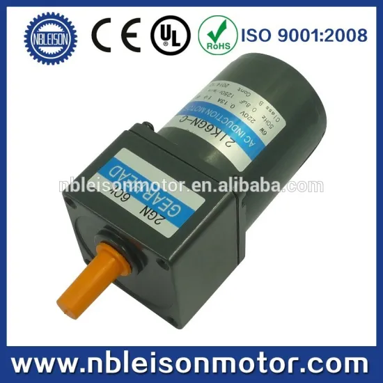 6w 110v 220v ac small gear motor
