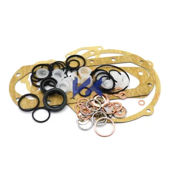 2417010002 Repair kits for diesel fue injection pump