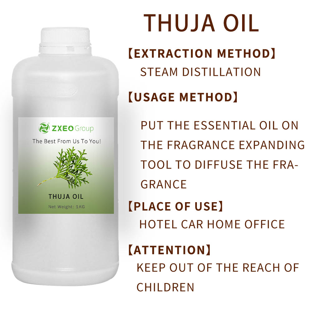 100% 천연 및 순수한 Thuja 목재 에센셜 오일 에센셜 오일 고품질 도매가 Thuja Wood Oil