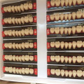 Full Set Dental Synthetic Polymer Resin Teeth