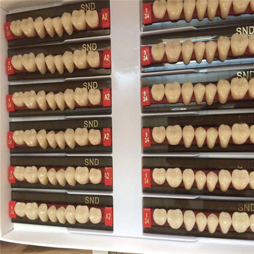 Dientes de resina de polímero sintético dental completo conjunto