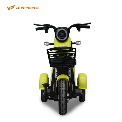 Adult Electric Tricycle Factory Support Tuk Tuk Electric