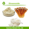 Extracto de raíz de ginseng rojo coreano Ginsenoside 5% en polvo