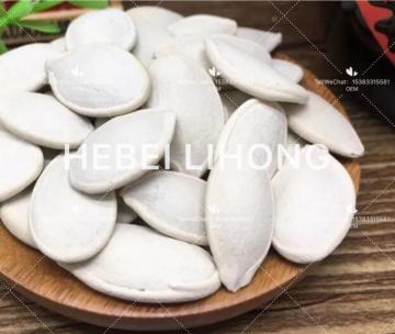 White Pumpkin Seeds in Wholesale Sales