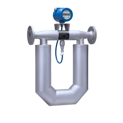 Natural Gas Mass Flowmeter - Air Mass Flowmeter Coriolis DN1-DN200