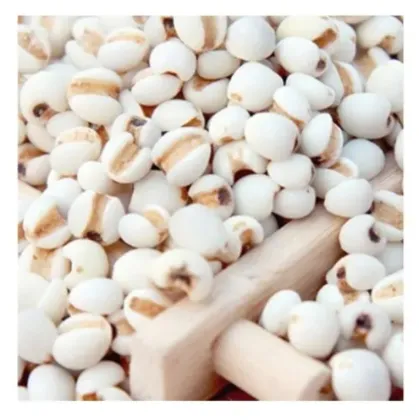 Coix Seed Extract Job' s Tears Powder Extracts