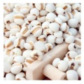 Estratti di polvere di Extract Seed Extract Coix