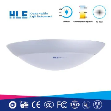 Delicate LED Ceiling Light