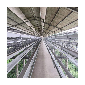 Sistema de alimentação totalmente automático para gaiolas de aves