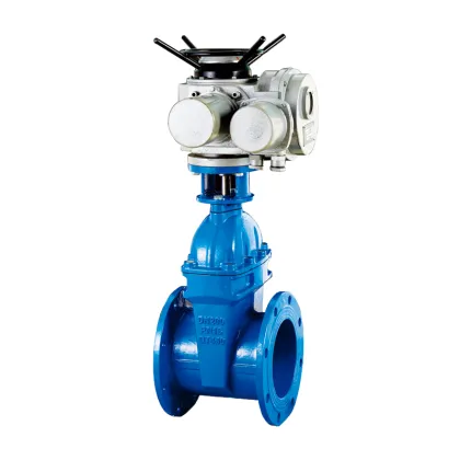 Soft Seal Gate Valve for Sewage Systems