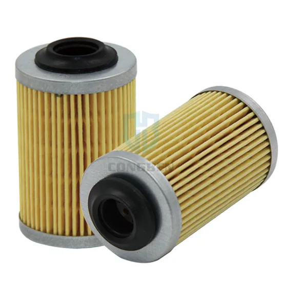 High Performance Oil Filter 93186310 PF2129 for Cadillac