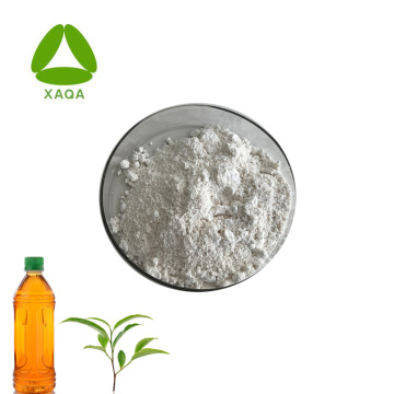 ISO90001 Natural Green Tea Extract EGCG 95% Powder