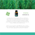 Rosemary hydrosol en gros OEM en vrac pur naturel