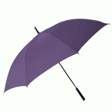 Purple full automatic long handle umbrellaa