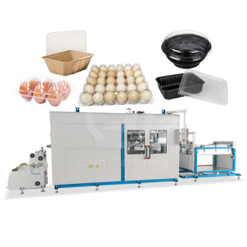 OCEAN Automatic Take Away Food Box and Dish Making Machine